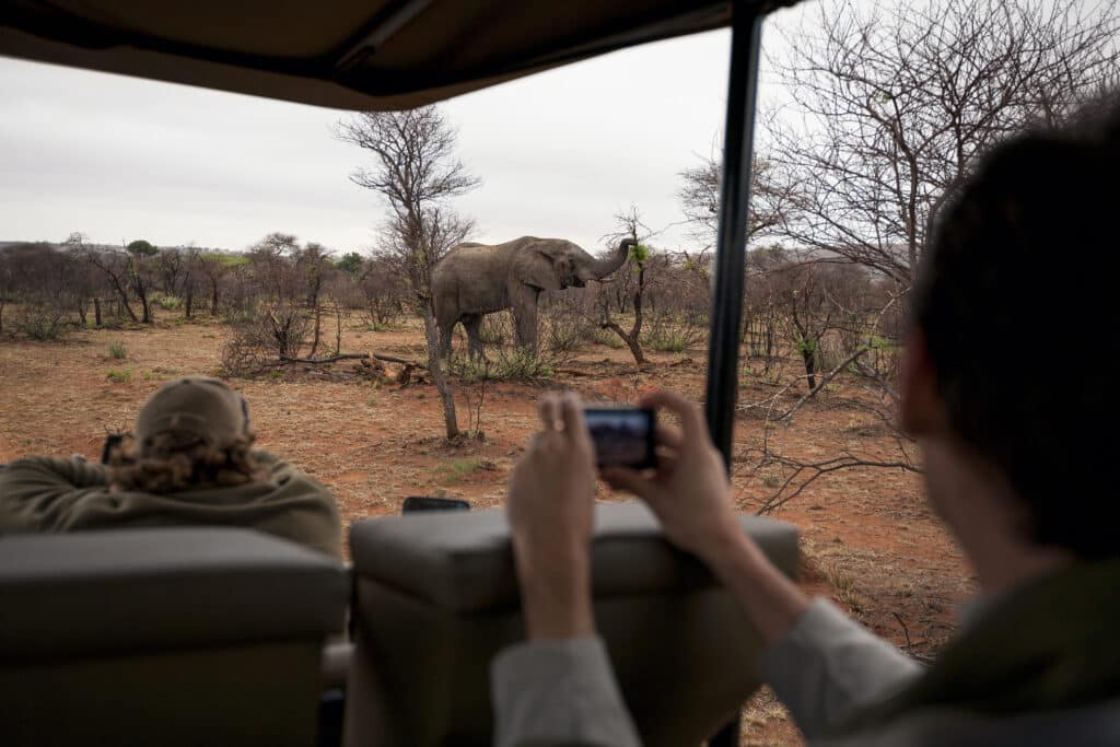 Curious tourists on a kruger safari looking at wild animals