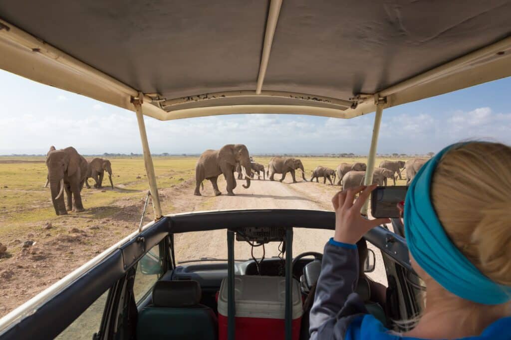 People on a safari looking at the game during a Kruger winter