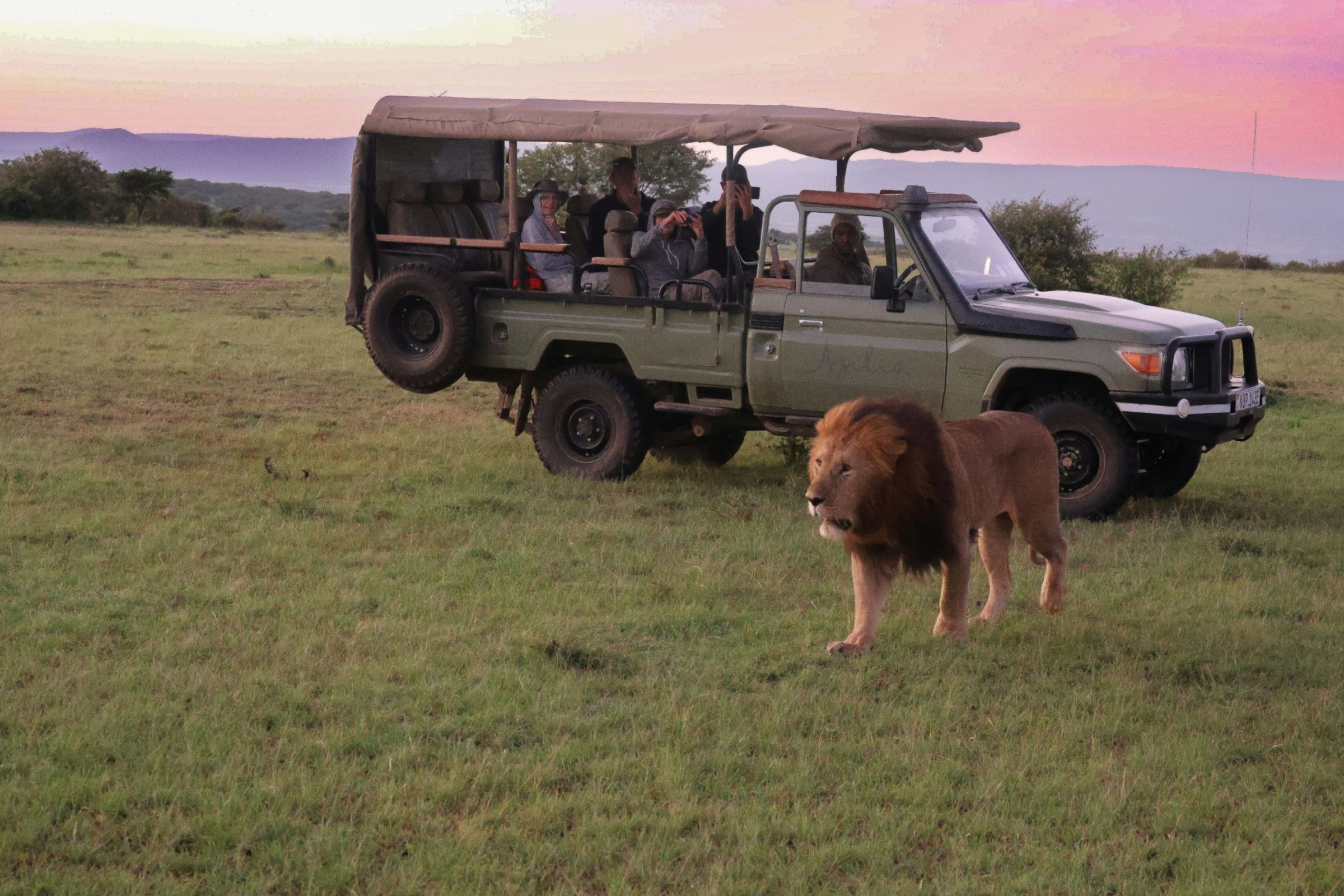 A family of 4 enjoying a game drive after paying the African safari costs for family of 4