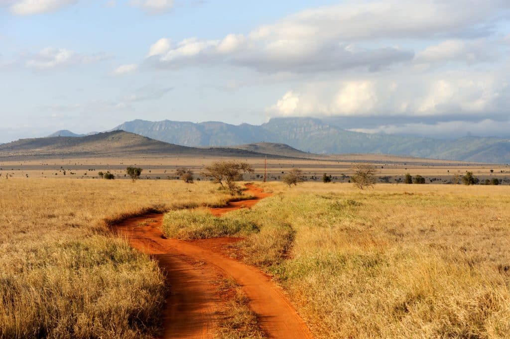 A closeup of a dirt road in the wilderness representing travel from Hazyview to Paul Kruger Gate
