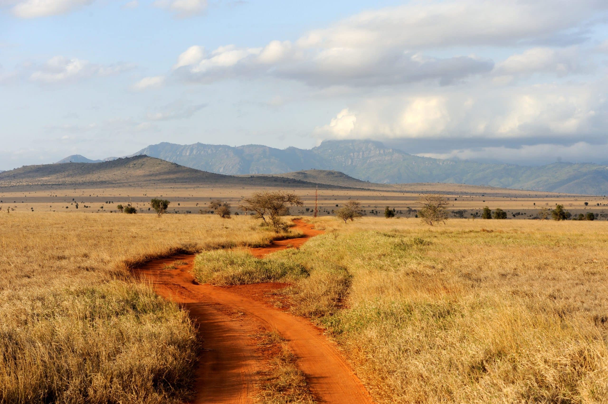 A closeup of a dirt road in the wilderness representing travel from Hazyview to Paul Kruger Gate