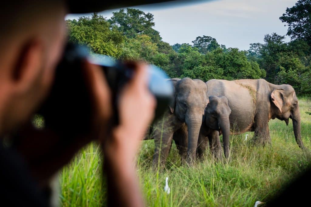 A man taking photographs of elephants on self drive Kruger safari