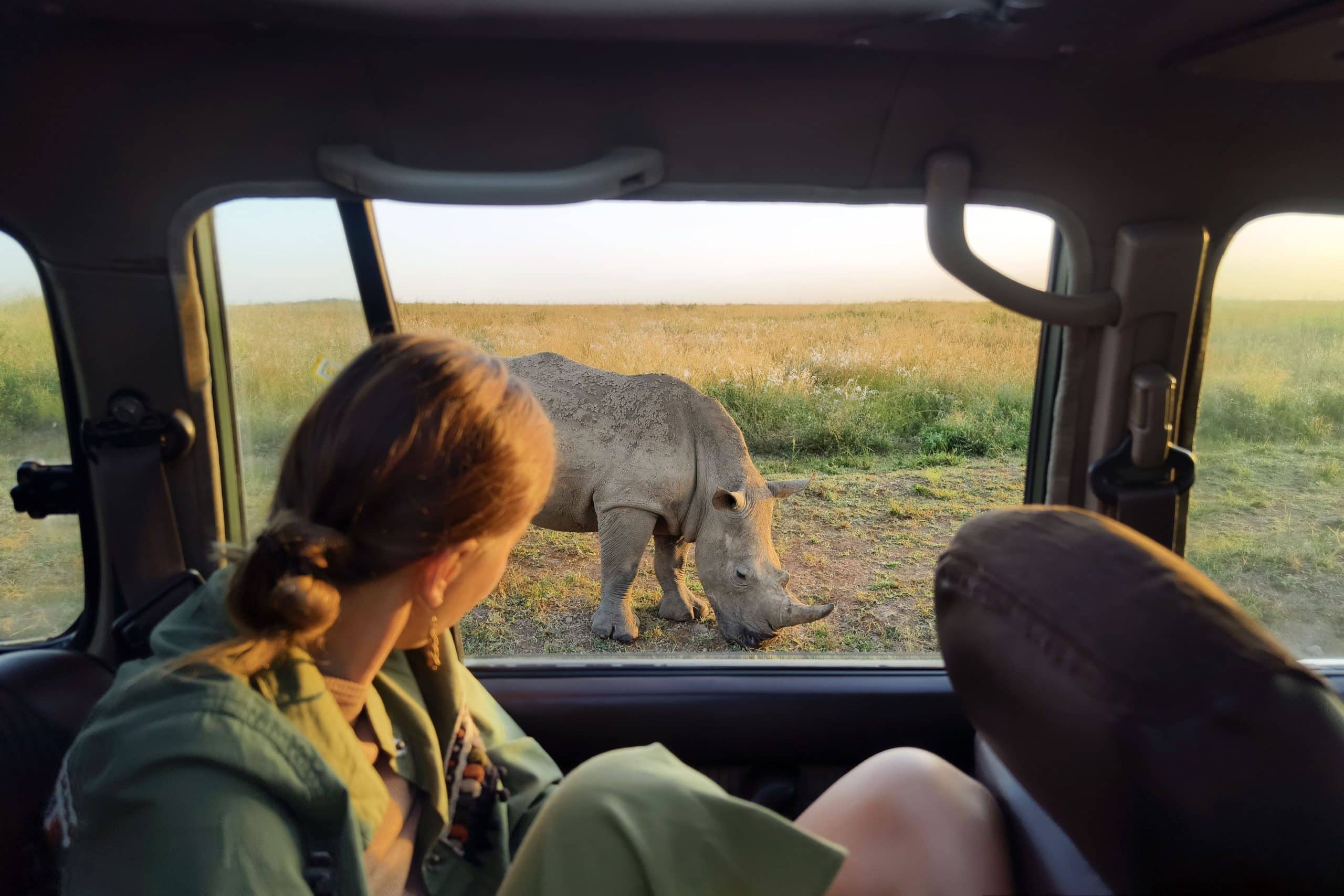 A young female watching a rhino on a morning game drive Kruger