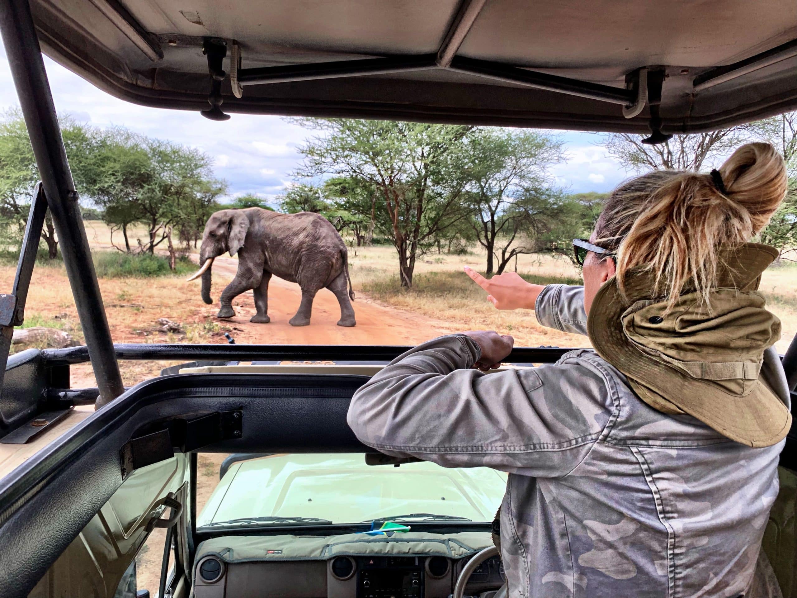Tourist on a safari in Kruger National Park, South Africa, pointing at an elephant — showcasing why South Africa is ideal for first-time safari visitors.