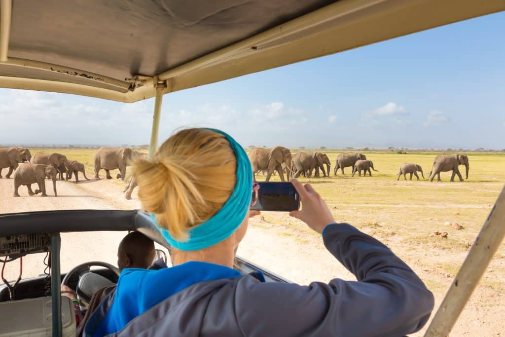 Woman on a safari vehicle taking photos of a herd of elephants during a guided game drive near Kruger Gate in Kruger National Park.