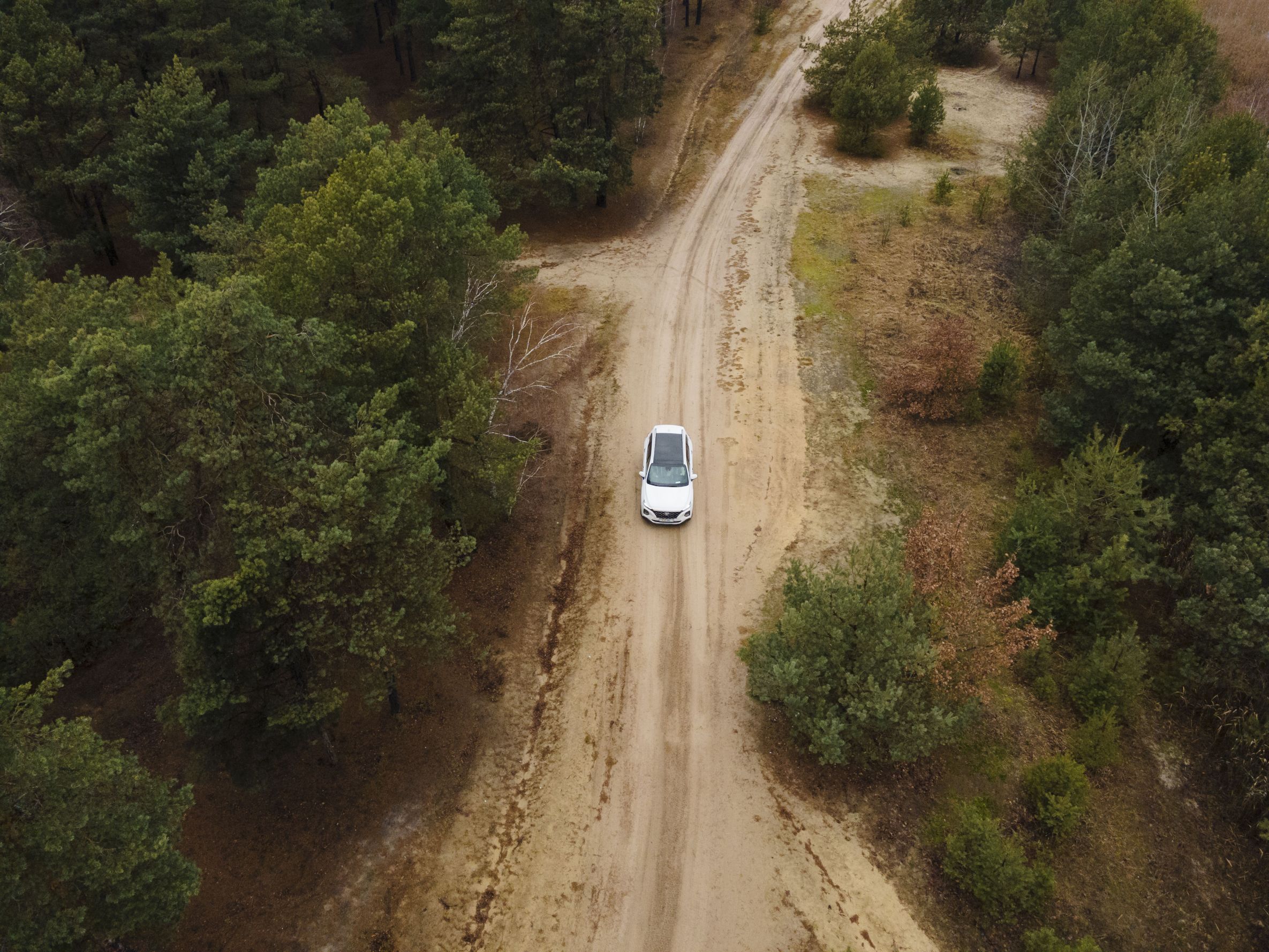 A white car driving on a dirt road in nature showing Kruger National Park travel