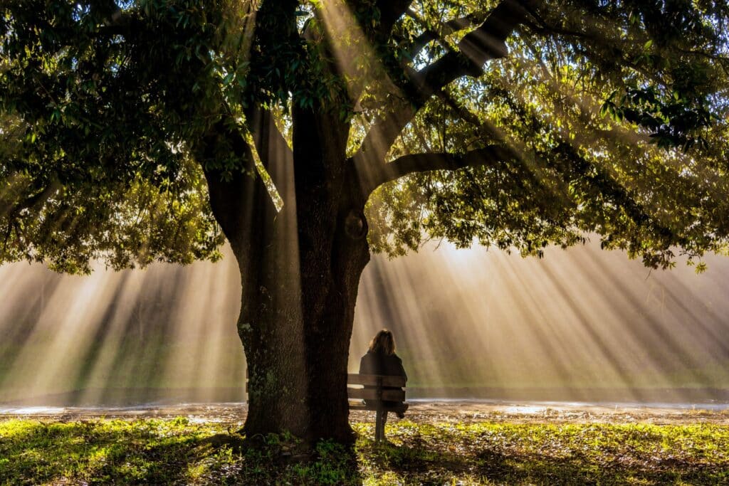 A woman sitting on a bench under a big tree, enjoying Kruger National Park plants