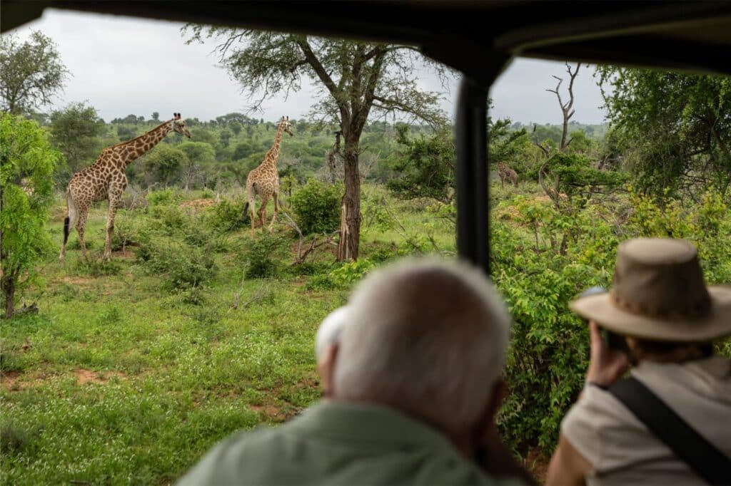 Guests viewing giraffes during a Kruger Gate Hotel safari in Kruger National Park.