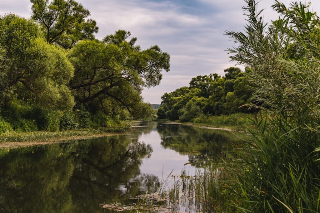Beautiful landscape
