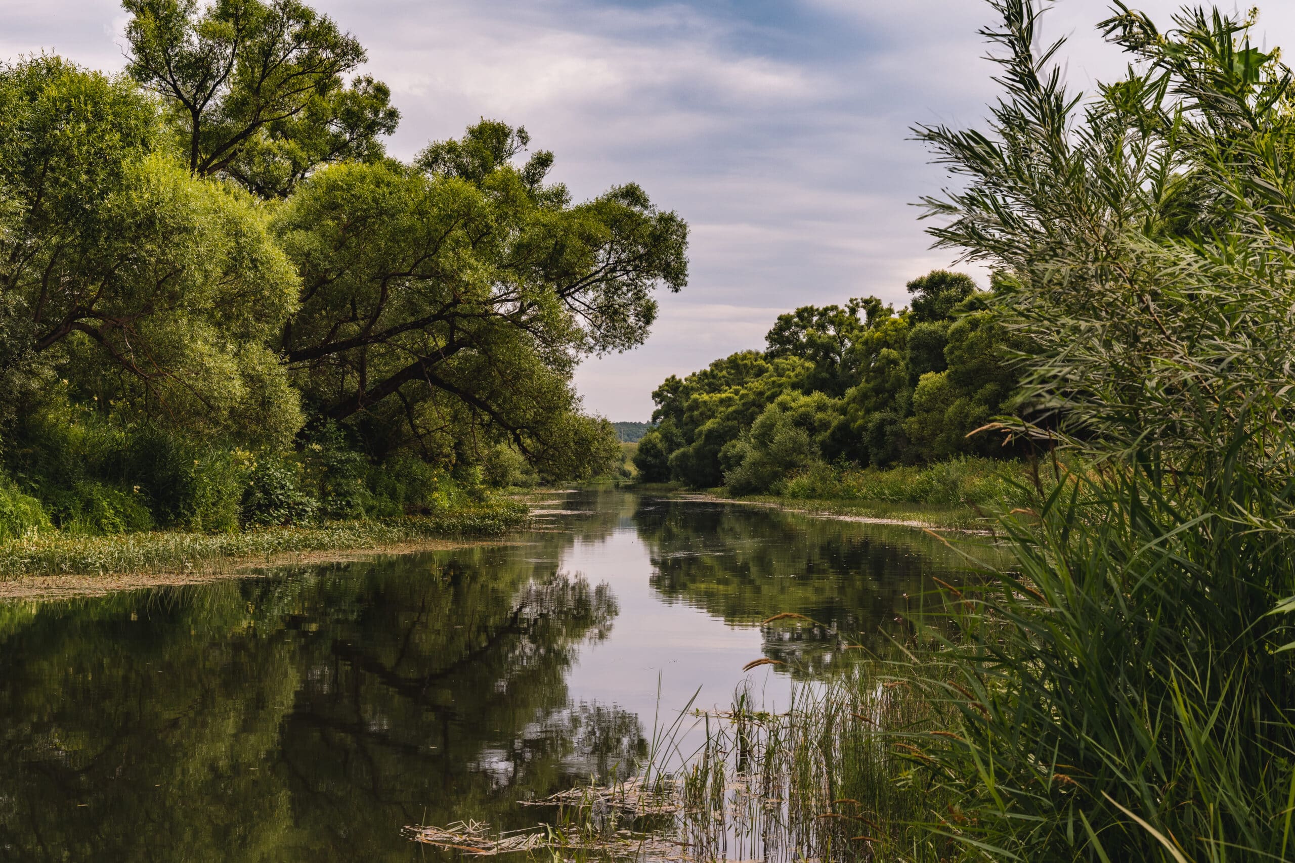 Beautiful landscape